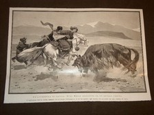 Spedizione in Tibet di Sven Anders Hedin di Stoccolma nel 1909 Caccia bufalo