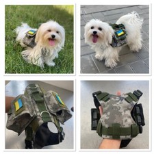 Gilet tattico per cani di