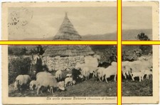 1927 BONORVA (Sassari -