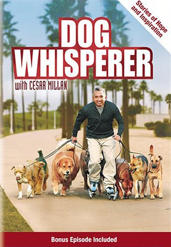 Dog whisperer with cesar - whisperer,