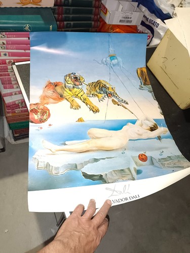 Poster salvador dali - dali', dreams