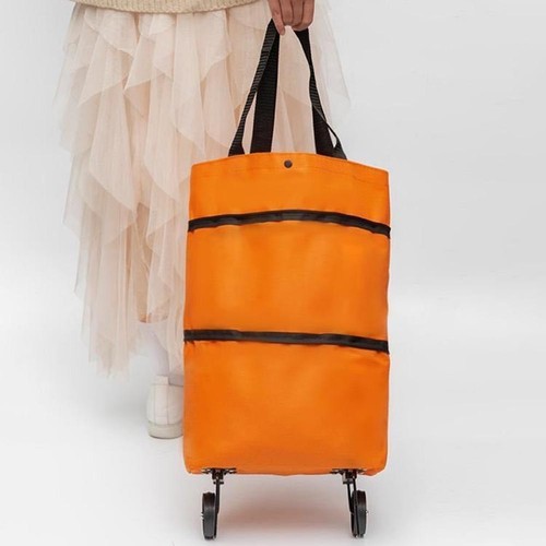 Carrello della spesa