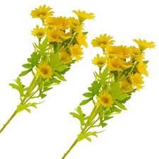  2 Pcs Fiori Di Margherita