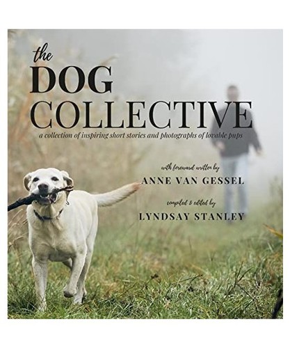The dog collective - collective:, a