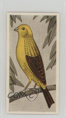 1960 barratt gabbia aviaria - 1960,
