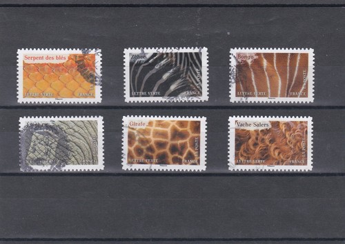 Francia 2024 animali colori - 2024, a