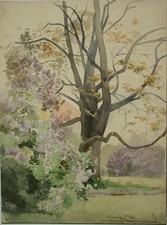 Acquerellista austriaca Marie C. M. ? - Paesaggio parco 
