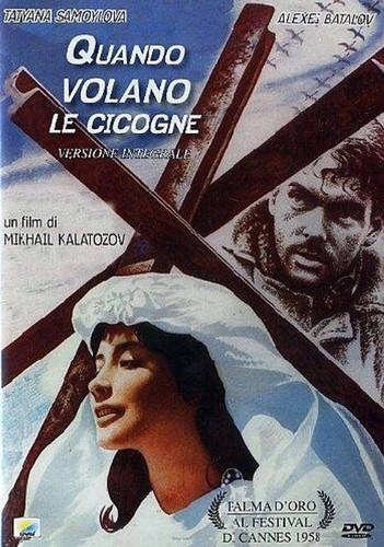 Quando volano cicogne dvd - volano,