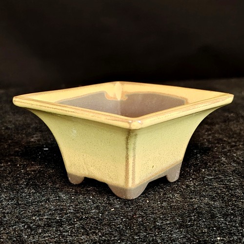 Japanese matsutani bonsai pot - matsutani,
