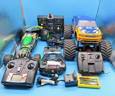 #SE3019# Raccolta Insector