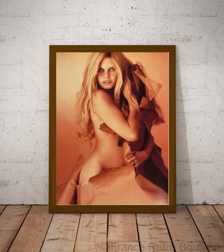 Affiche brigitte bardot - brigitte,
