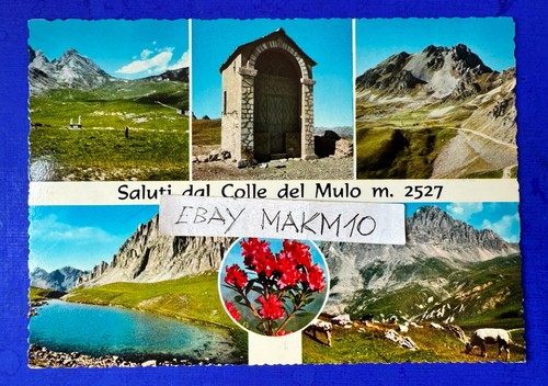 Cartolina foto saluti - 🔵cartolina, da