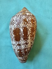 Xxl conus textile - xxl, lunghezza