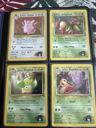 Raccoglitore pokémon eroi - raccoglitore,
