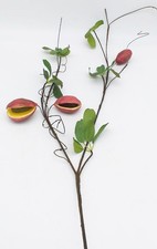 Ramo di Caviale di Limone