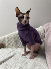 Maglione Sphynx Cat in morbida