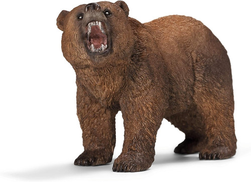 Orso grizzly - orso,