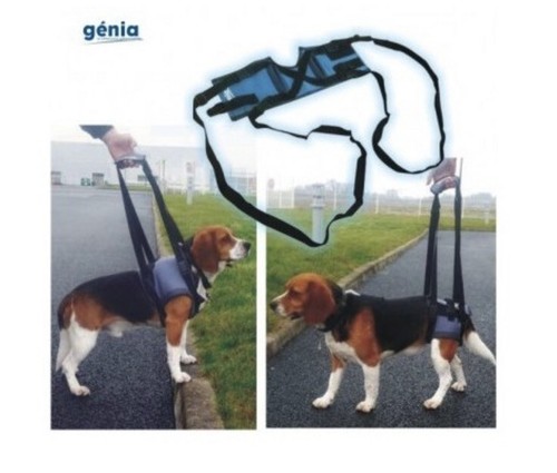 Med pratico canis - pratico,