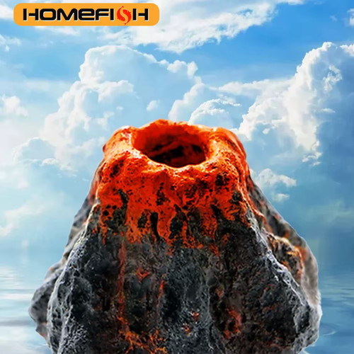 Homefish 1pcs fish tank - fish,