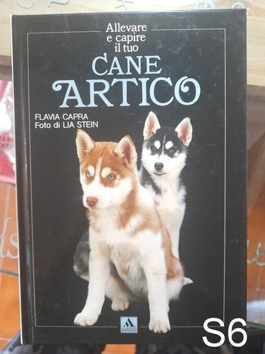 Allevare capire tuo cane - capire,
