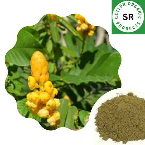 Cassia alata essiccata - , foglie