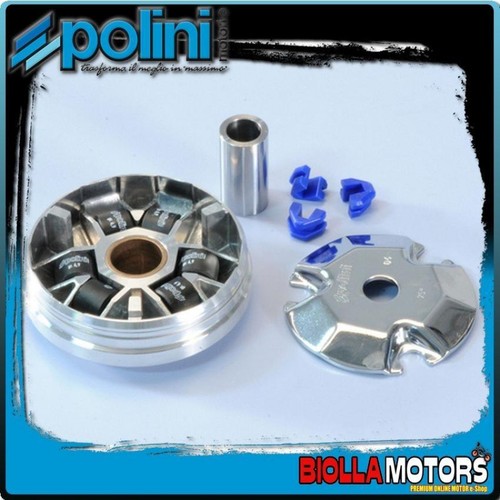 241 687 variatore - polini, d.90