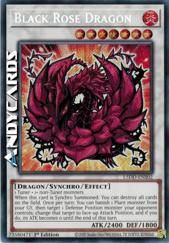 Black rose dragon - •, (drago