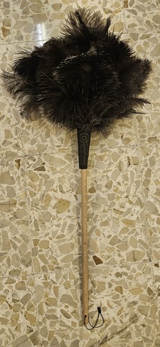 Spolverino con piume di - piume,