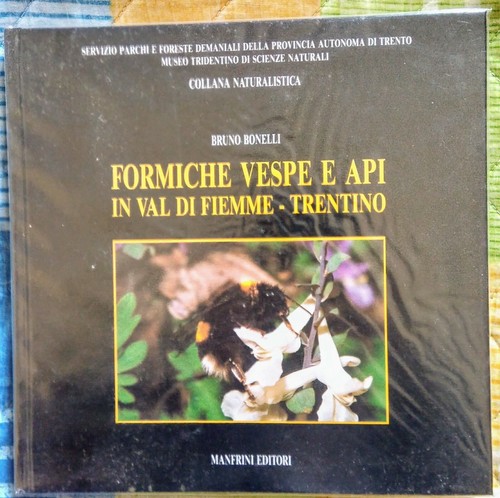 Formiche vespe api - formiche,,