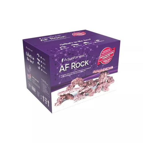 Rock dry aquarium live - dry,