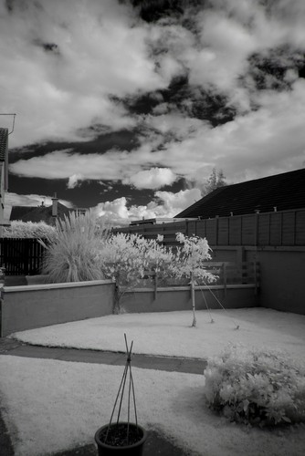 Panasonic gf1 convertito - gf1, in