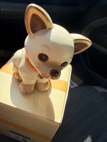 Thun cane chihuahua fuori - thun,