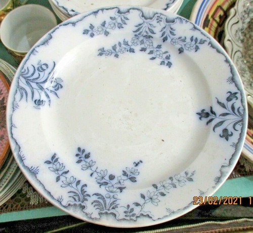 Piattini fine 800 - fine, '800