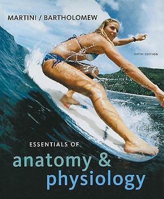 Essentials anatomy - essentials,