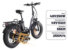DASCH N14 250W Bicicletta