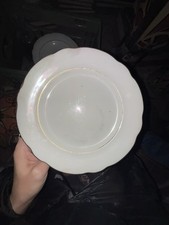 Servizio Piatti 33 Pezzi