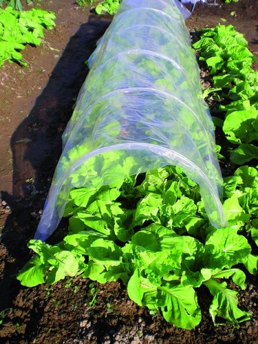 Serra tunnel blinky pvc - blinky,