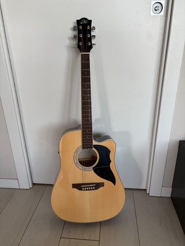 Chitarra acustica eko ranger - chitarra,