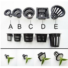 Cesto acquatico per giardino