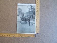 FOTOGRAFIA CAVALLO CON CALESSE