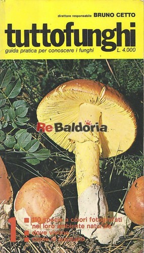 Tuttofunghi editrice erpi - tuttofunghi,