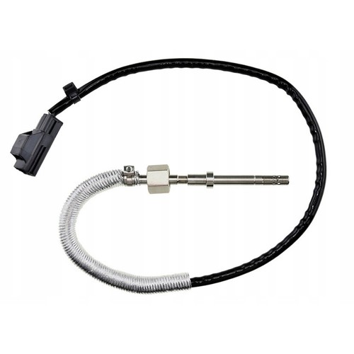 Sensore temperatura gas