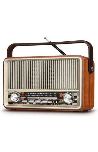 Prunus 120 radio portatile - j-120,
