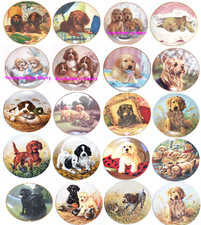 Piatto cane Yorkie Golden