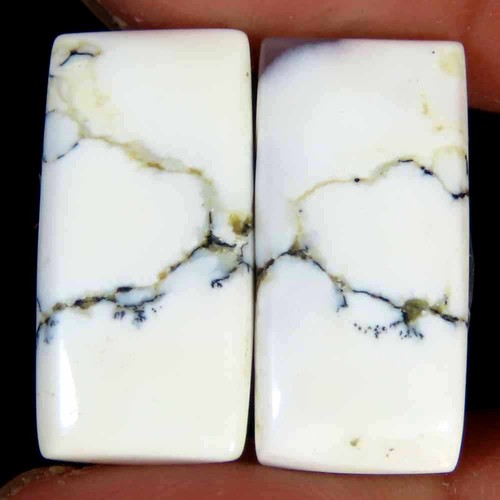 Coppia cuscini opale dendrite