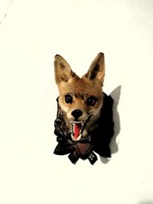 Trofeo caccia esemplare volpe