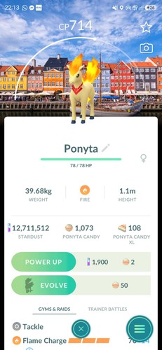 Ponyta sfondo - ponyta, (sfondo