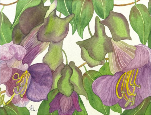 Pittura acquerello 11x14 - pittura,