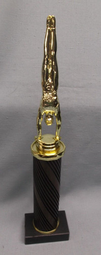 Trofeo maschile ginnastica