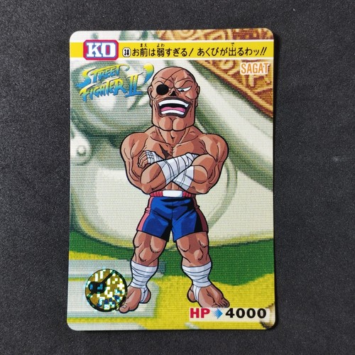 Street fighter 38 sagat - fighter, ko